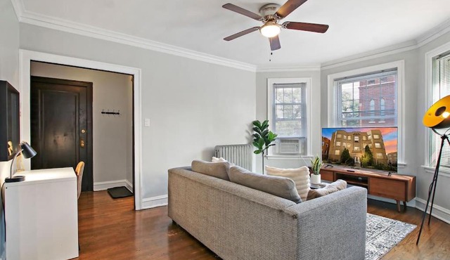 1BR Homey Apt in Irving Park - Troy 2