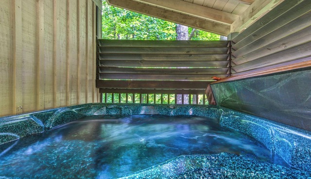 1BR, hot tub, jacuzzi. Free attraction tickets!
