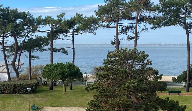 1BR+T apartment with balcony, parking and WIFI in Arcachon
