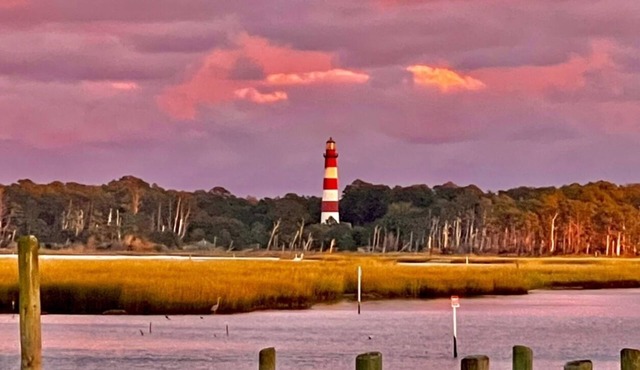 1BR Waterfront cottage with a view of the wild Chincoteague ponies!