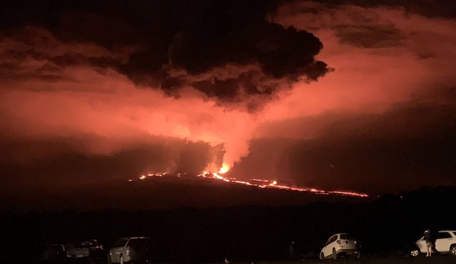 1st floor 2 bedroom/1 full bath unit on one acre family farm close to Hilo, HI.