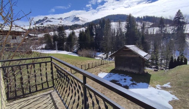 1st floor, balcony, parking, ski locker, 32m², Le Grand Bornand