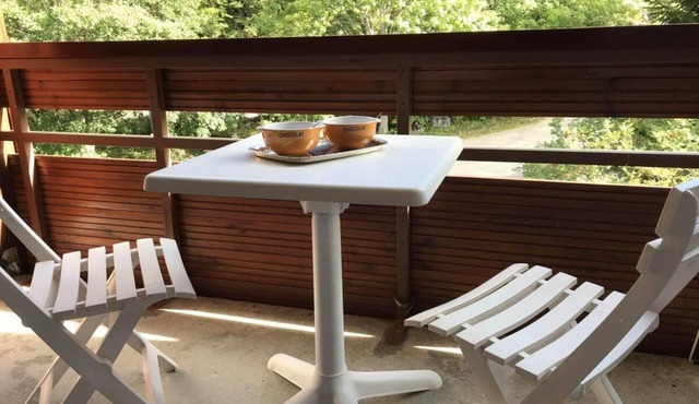1st floor, balcony, tv, 30m², Villard de Lans