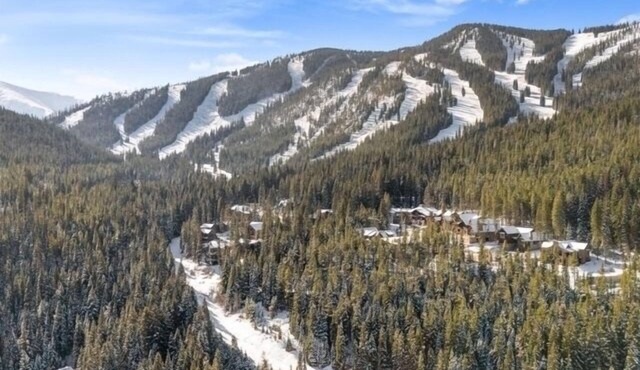 1st floor ski in & out resort condo with hot tubs, fitness room, covered garage.