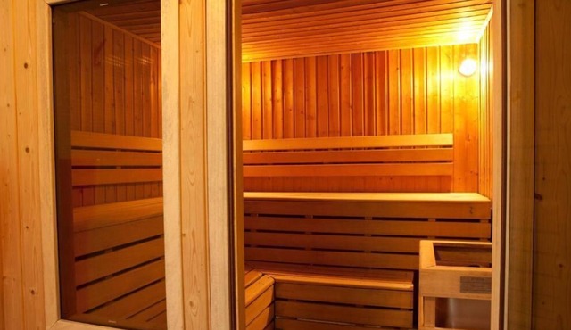 1st floor, view valley, swimming pool, sauna, hammam, terrace, tv, 100m², Pra Loup