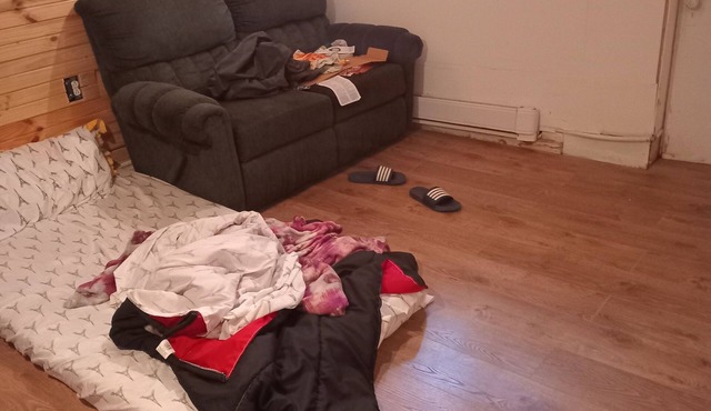 2 1/2 bachelor for rent