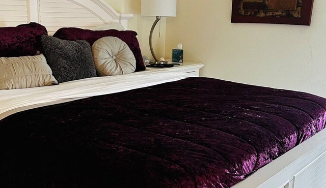 2/2 Duplex on CANAL all updated; new furniture,