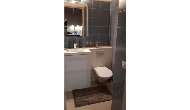 2.5 Rooms Furnished Apartment in Luzern Nr 12