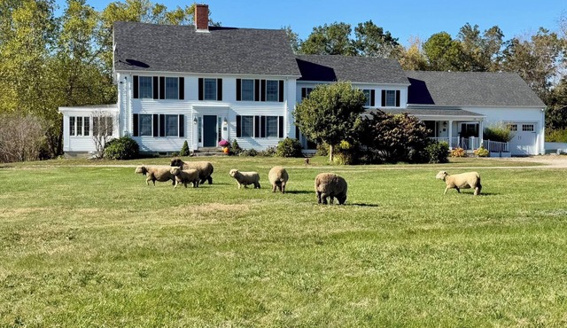 #2-Abbott Brook Inn-Peaceful 125-Acre Farm Suite with Indoor Heated pool.