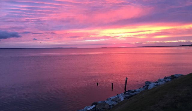 2 Acre Oasis with Private Beach! Family and dog friendly!