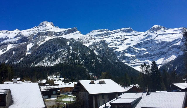 2 and a half apartment in Les Diablerets