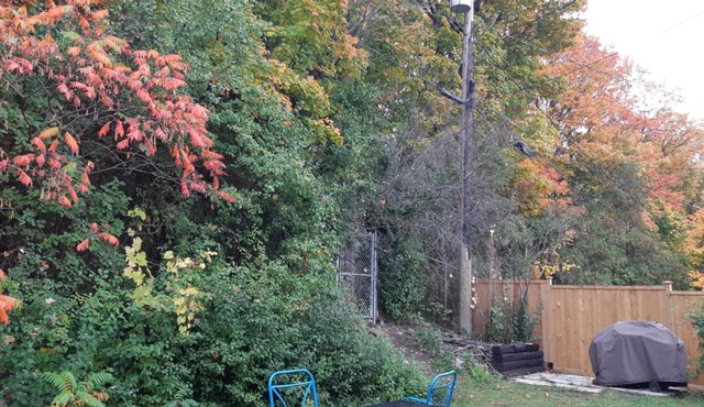 2 bdr Hilltop Suite 5 minutes from Downtown