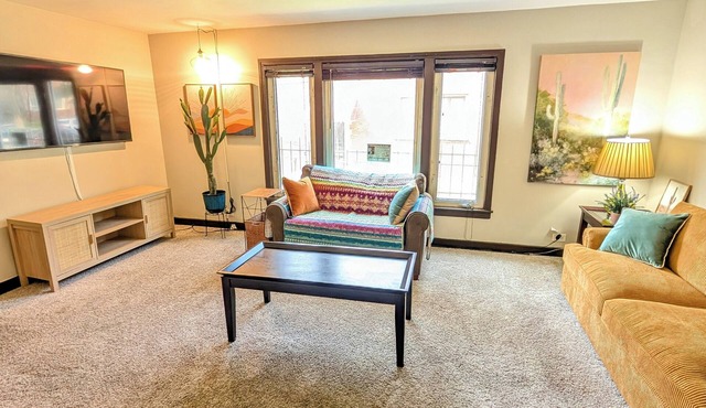 2- Bdrm Apt Desert Themed w/AC in Chicago