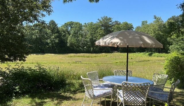 2-bdrm Cottage | Close to Everything | Pet Friendly