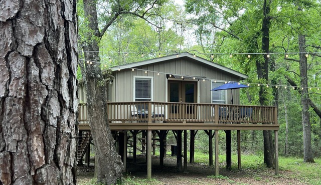 2 BDRM Treehouse Hideaway- Lake Conroe | Boat ramp