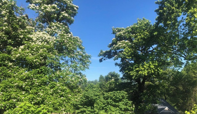 2 Bdrm Urban Acreage just outside Des Moines city limits 10min from downtown.