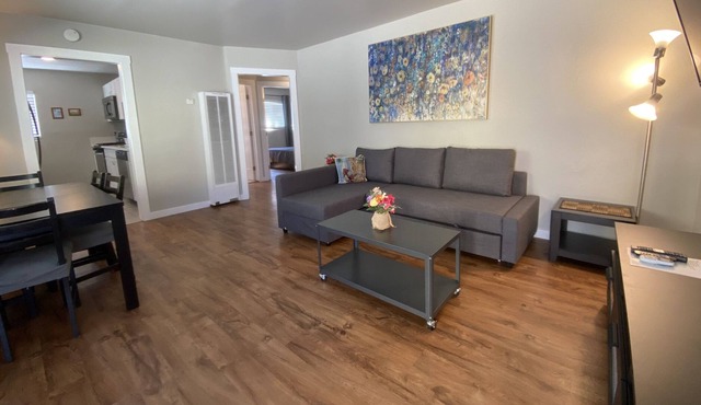 2 Bed 1 bath 5 minutes to Downtown SD, Apt # 1