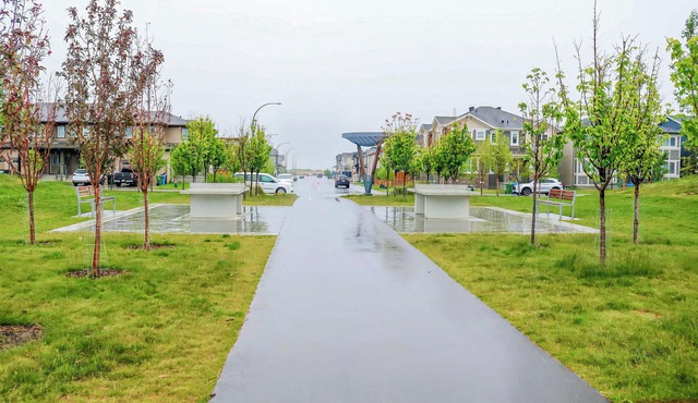 2 Bed, 1 Bath, Brand New Cozy Comfort Cove Retreat, Calgary NW