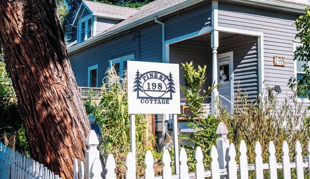 2 bed 1 bath cottage in downtown Auburn- fenced yard, WiFi and AC. Dog friendly