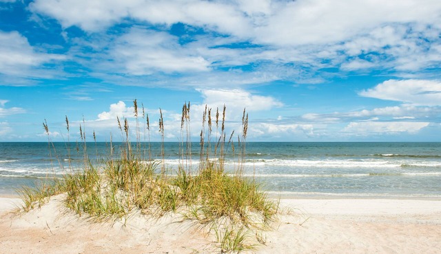 2 Bed/2.5 Bath Townhome In Gorgeous Timeless Amelia Island Steps from the Beach