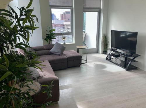2 bed 2 bath Skyline Luxury Apartment