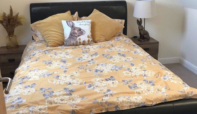 2-Bed Duplex Sleeps 3 with Fireplace