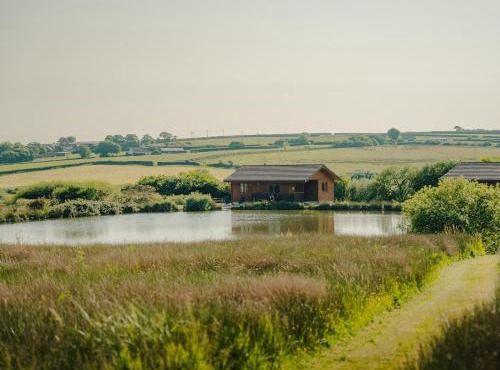 2 Bed in Higher Clovelly 00362