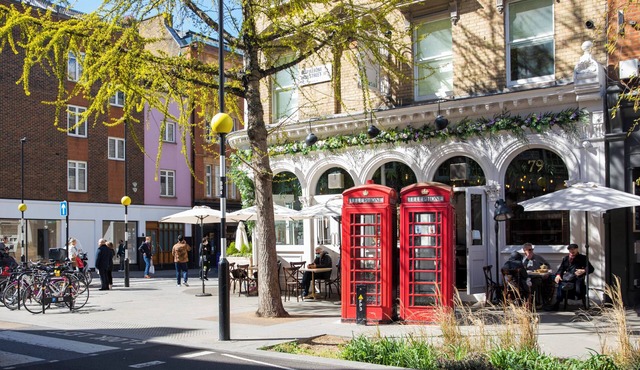 2 Bed Modern Apartment Opposite Buckingham Palace