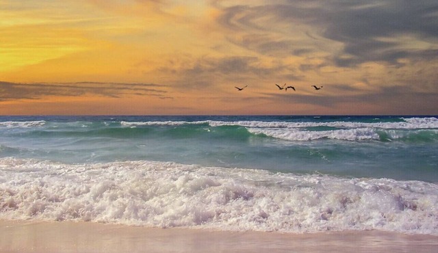 2 Bedroom 1.5 Bath - With Private Condo Community Pool