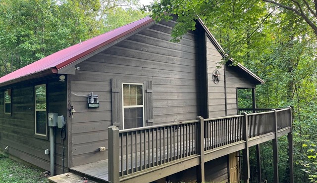 2 Bedroom 1 Bath Hayesville Cabin