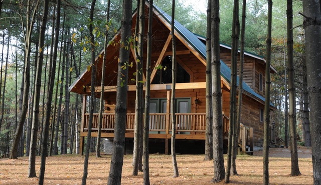 2 Bedroom 2 Bath Cabin (Beaver, WV)