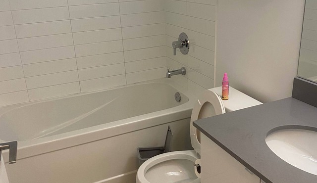 2 bedroom 2 bathroom condominium downtown Toronto