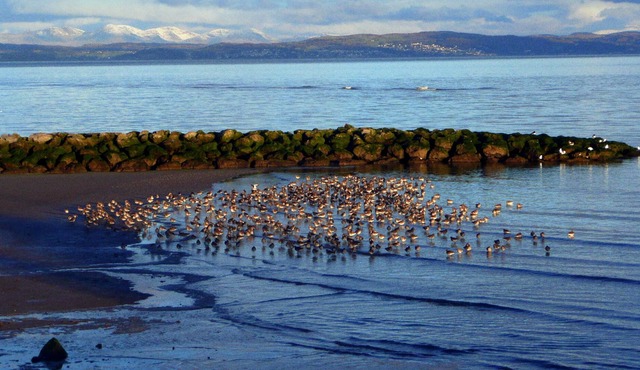 2 Bedroom, 2 Bathroom High End spacious Holiday Accommodation