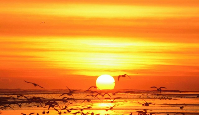 2 bedroom accommodation in Berwick-Upon-Tweed