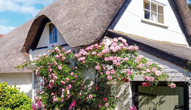 2 bedroom accommodation in New Milton