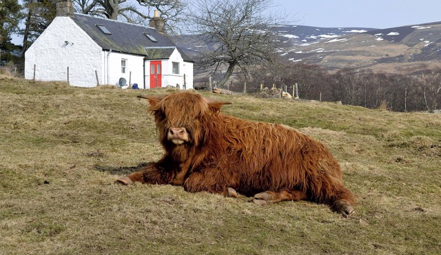 2 bedroom accommodation in Glenprosen, by Kirriemuir