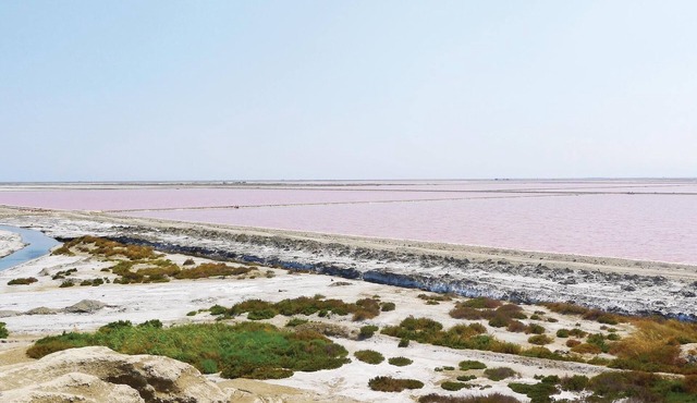 2 bedroom accommodation in Le Sambuc