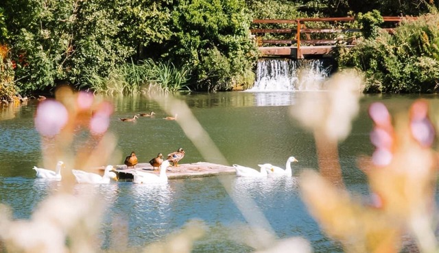 2 bedroom accommodation in Caerwys, Flintshire