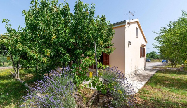 2 bedroom amazing home in Pridraga