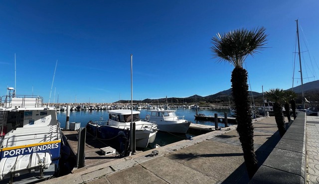 2-Bedroom Apartment in Argelès-sur-Mer with Parking and Air Conditioning