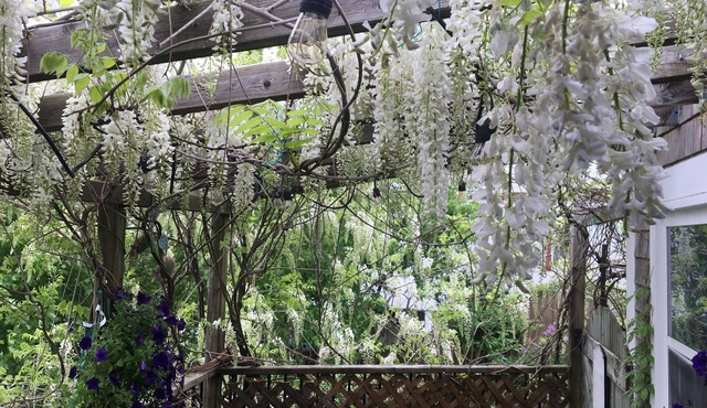 2-bedroom apartment in charming Bridgewater with WiFi, AC. Enjoy your stay