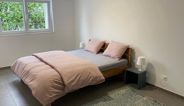 2 Bedroom Apartment in Bellinzona