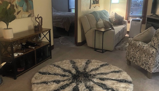 2-bedroom apartment in fabulous Buffalo with cool AC