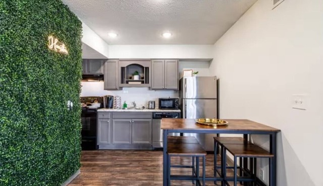 2-bedroom Apt in Med Center NRG