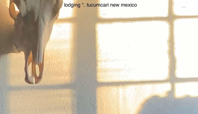 2 bedroom artful Castle in the Heart of Tucumcari! Walk to restaurants & museums