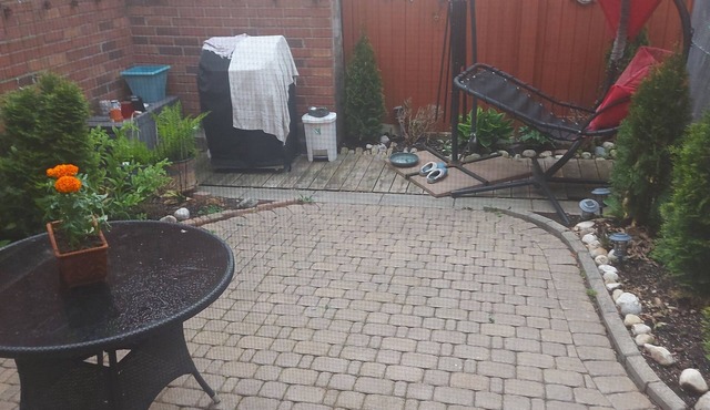 2 Bedroom Basement Apartment For Rent in Vaughan Canada. 647-400-4944.