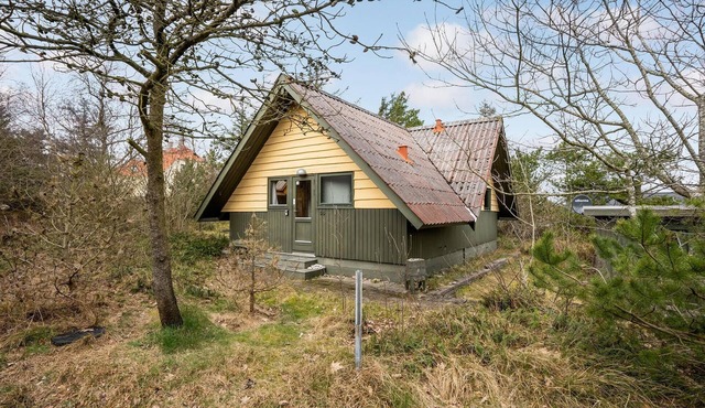 2 bedroom beautiful home in Nørre Nebel