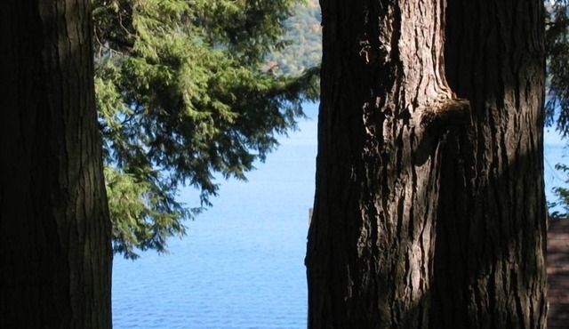 2 Bedroom Cabin on Cayuga Lake 1 Mile from Ithaca