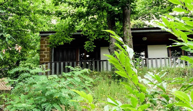 2-bedroom chalet in Lozère on the shores of Lake Villefort