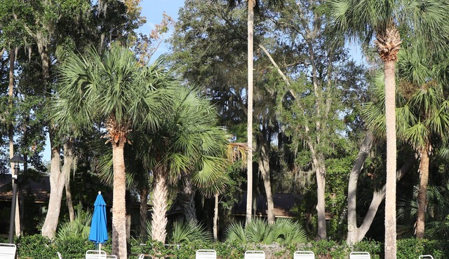 2-bedroom condo in marvelous Florida fun area. Enjoy a relaxing stay